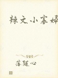 辣文小寡妇