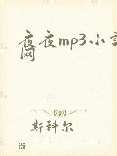 夜夜mp3小说网