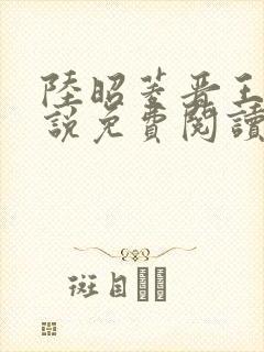 陆昭菱晋王的小说免费阅读