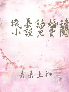 机长的婚后日常小说免费阅读