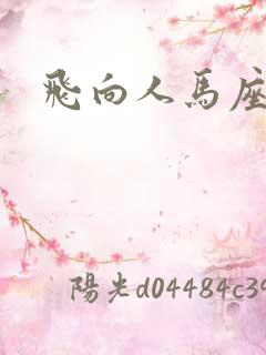 飞向人马座