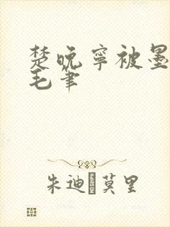 楚晚宁被墨燃塞毛笔