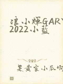 浪小辉GARY2022小蓝