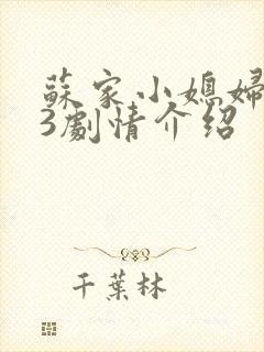 苏家小媳妇1v3剧情介绍