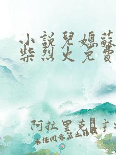 小说儿媳苏玥干柴烈火免费阅读