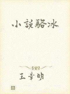 小说骆冰