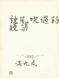 被风吹过的夏天晓渠