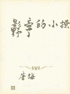 影帝的小撩精太野了