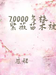 70000多株紫薇苗木被强毁