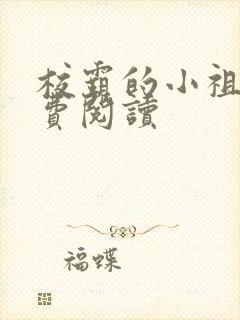 校霸的小祖宗免费阅读