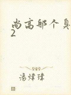 尚高那个臭小子2