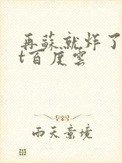 再苏就炸了txt百度云