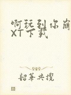 啊玩到你崩溃TXT下载