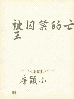 被囚禁的亡国公主