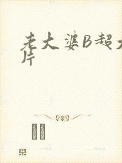 老大婆B超大图片