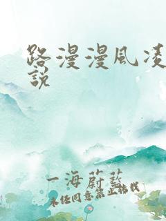 路漫漫风凌轩小说