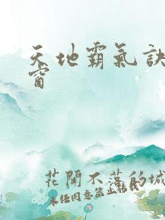 天地霸气诀无弹窗