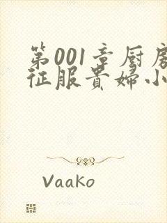 第001章厨房征服贵妇小说