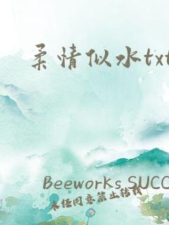 柔情似水txt