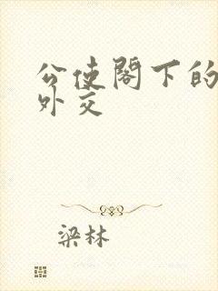 公使阁下的秘密外交