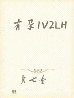 有孕1V2LH
