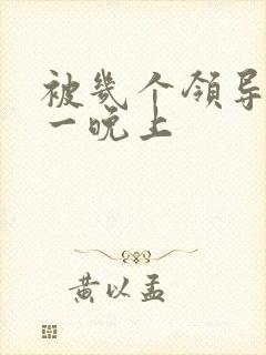 被几个领导玩弄一晚上