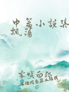 中篇小说集随风飘荡