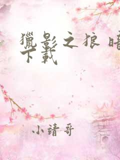 猎影之狼 暗夜下载