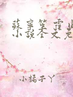 苏宁笙 霍止行小说全文免费阅读