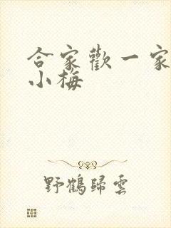 合家欢一家亲黄小梅