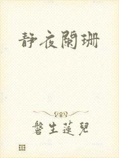 静夜阑珊