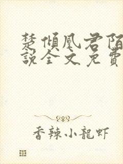 楚倾凰君陌尘小说全文免费阅读