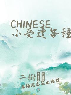 CHINESE小受遭各种打桩