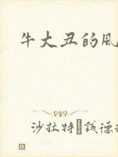 牛大丑的风流记