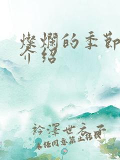 灿烂的季节剧情介绍