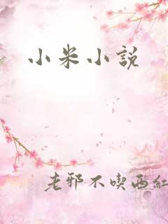 小米小说