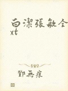 白洁张敏全集txt