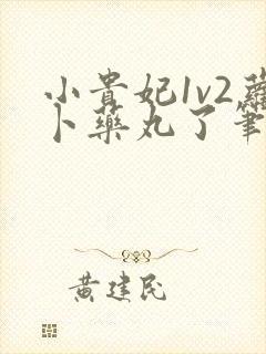 小贵妃1v2萝卜药丸了笔趣阁