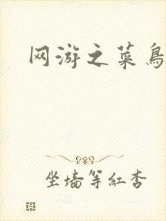 网游之菜鸟高手