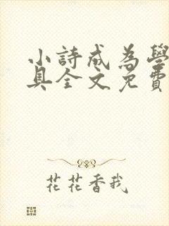 小诗成为学校教具全文免费阅读无弹窗
