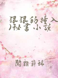 狠狠的撞入(h)秘书小说