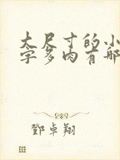 大尺寸的小黄说字多肉有哪些