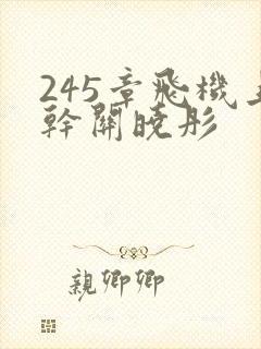 245章飞机上干关晓彤