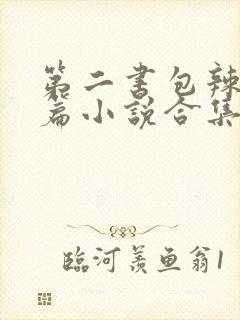 第二书包辣网短篇小说合集