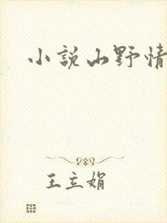小说山野情债