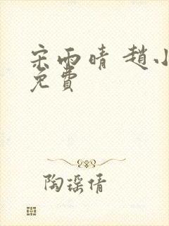 宋雨晴 赵小刚免费