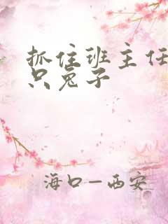 抓住班主任的两只兔子