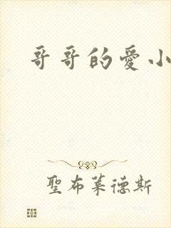 哥哥的爱小说