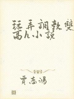 玩弄调教双胞胎高h小说