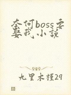 奈何boss要娶我小说